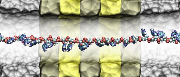 ibm_gene_sequencer_sm