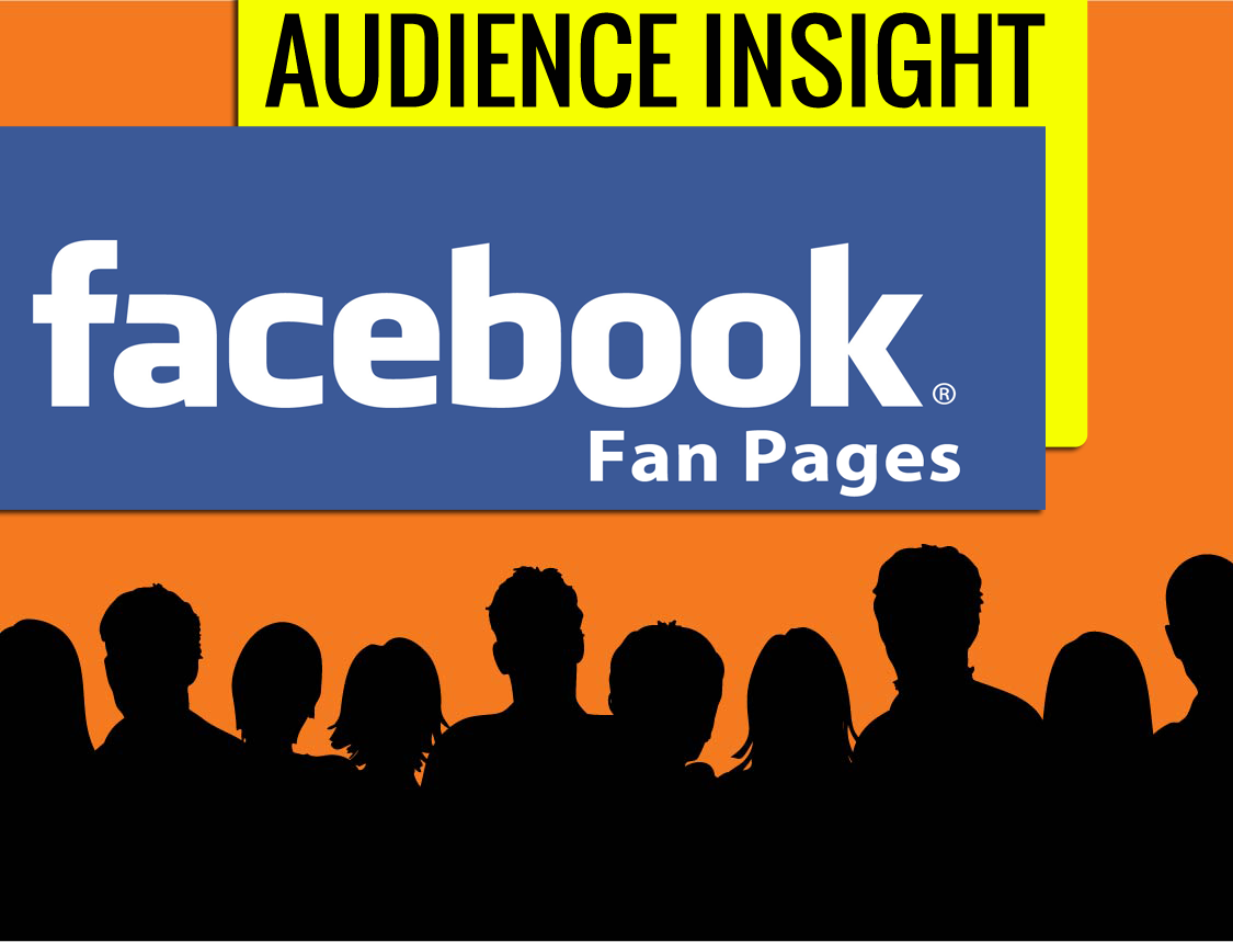 audience-insights-facebook-pagine-fan
