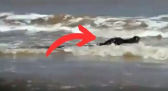 Erano a pesca, ma qualcosa di insolito esce fuori dall’acqua…